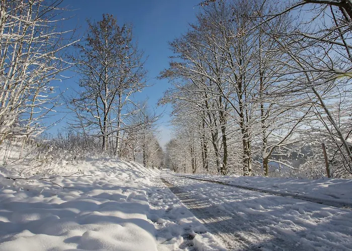 Lägenhet Welcome In - Gelegen Met Balkon - Heidestrasse 2